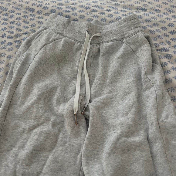 Gray Jogger - Picture 1 of 2